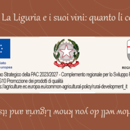 Progetto senza titolo